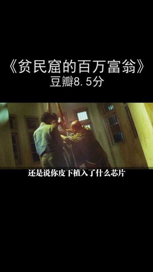 免费人成在线视频网,畅享海量资源，轻松解锁视觉盛宴