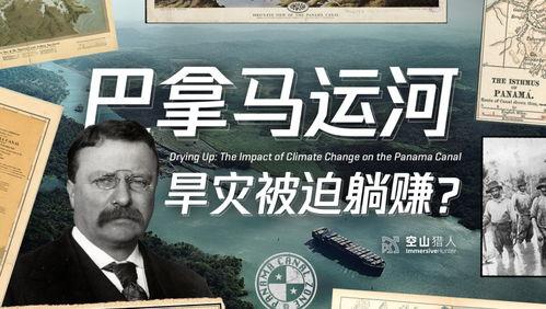 金钱博弈在线视频观看,揭秘在线视频中的投资智慧与风险挑战