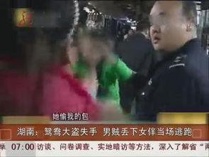 鸳鸯在线视频国产,鸳鸯在线视频，引领国产视频新潮流