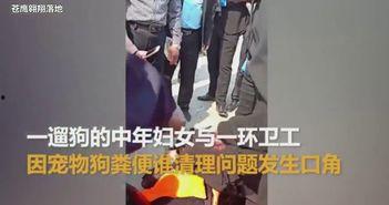 带跳蛋出街在线视频