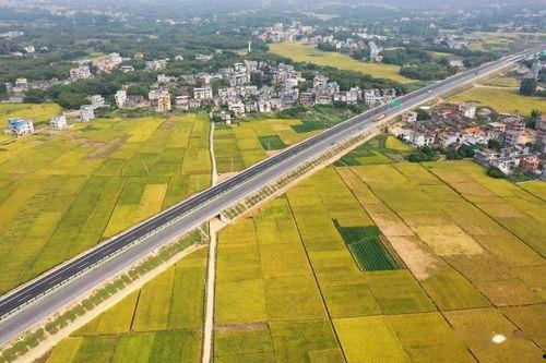 玉浦园在线视频,探寻古典园林之美