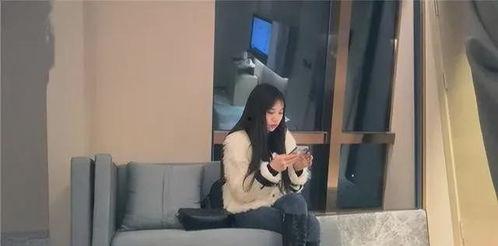 2023探花系列在线视频,揭秘热门视频背后的精彩故事