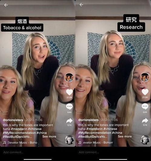 姐妹在线视频播放观看,在线视频观看的温馨时光